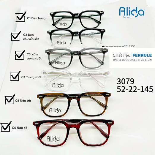 ALIDA TR90-METAL BL3079